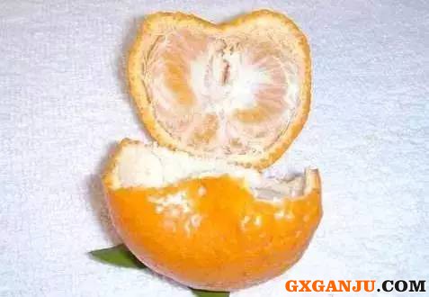 预防和控制柑橘浮动水果